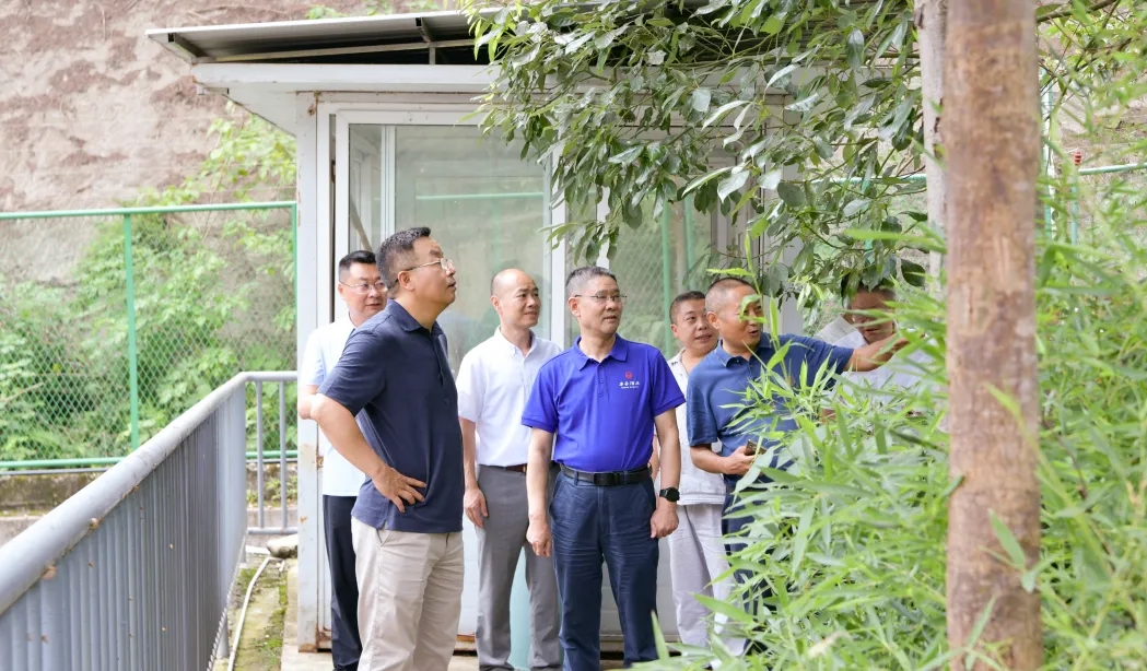 国产真人做爰视频免费
