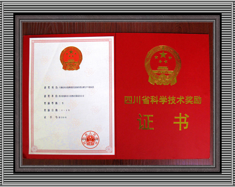 国产真人做爰视频免费